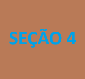 SEÇÃO TESTE 04
